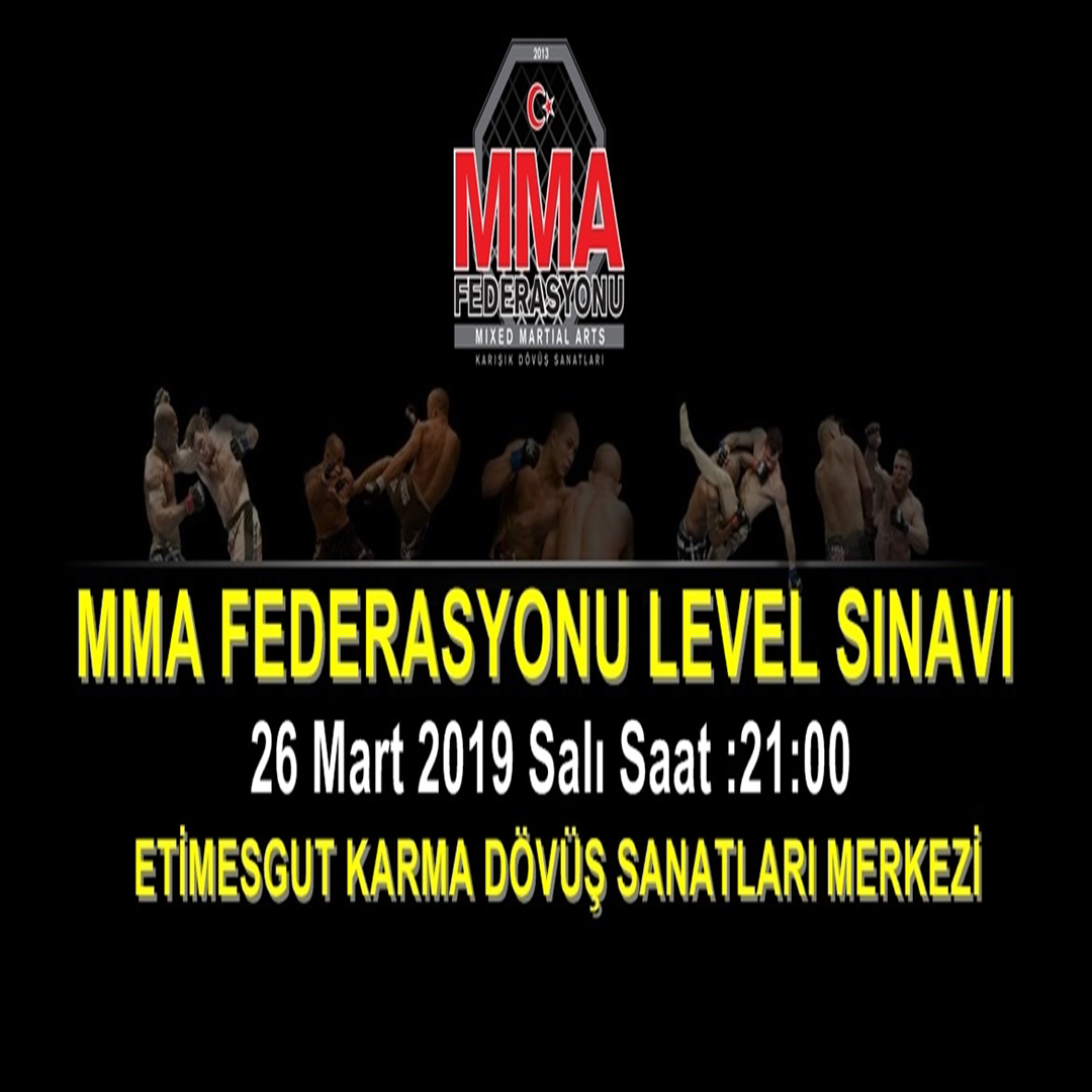MMA LEVEL SINAVI ANKARA 