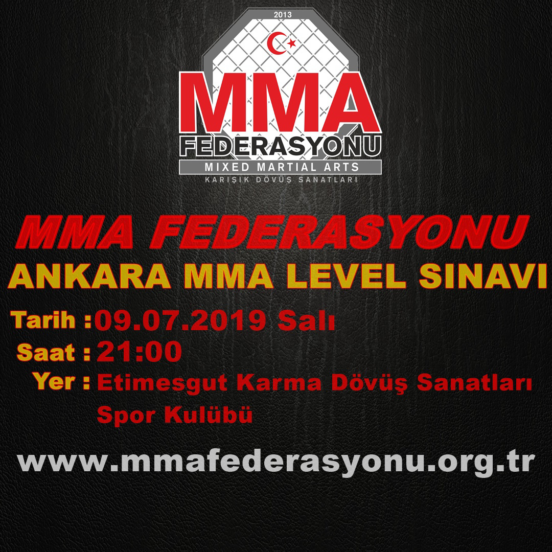 MMA LEVEL SINAVI ANKARA