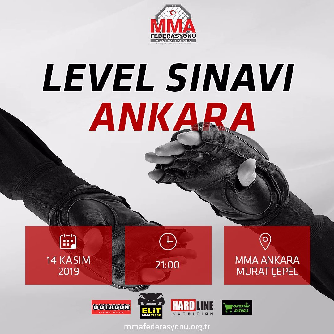 MMA LEVEL SINAVI ANKARA
