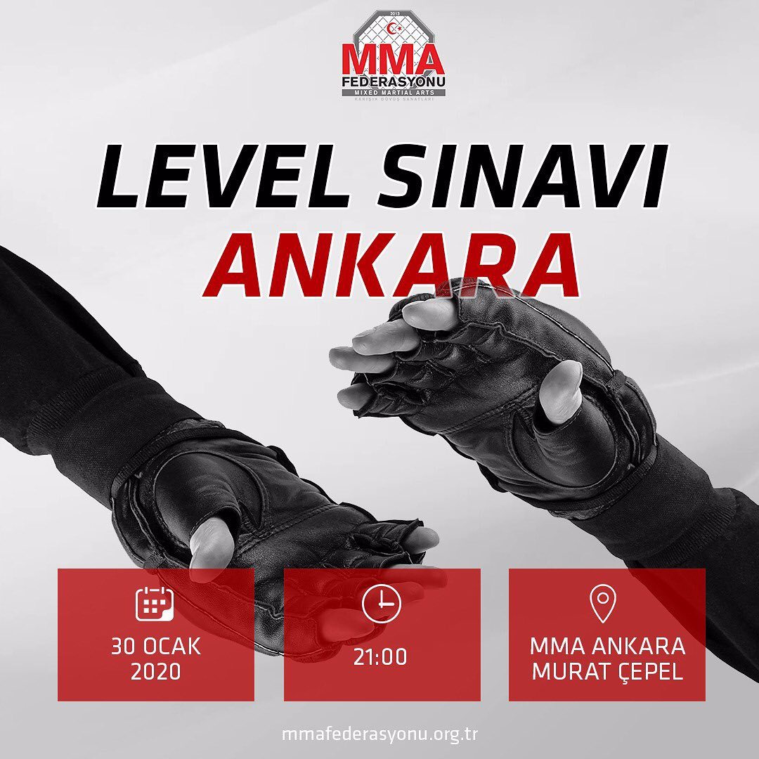 MMA LEVEL SINAVI ANKARA