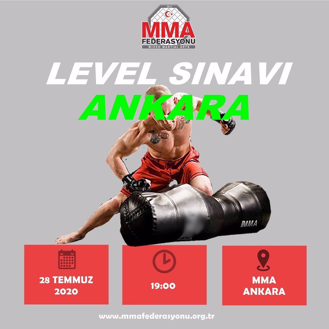 MMA LEVEL SINAVI ANKARA