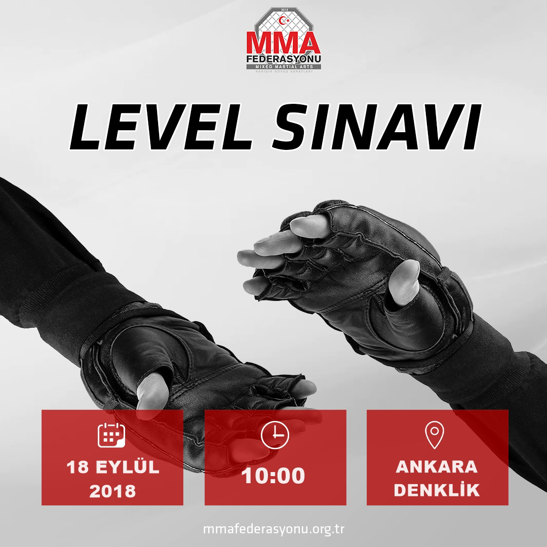 MMA LEVEL SINAVI ANKARA DENKLİK 
