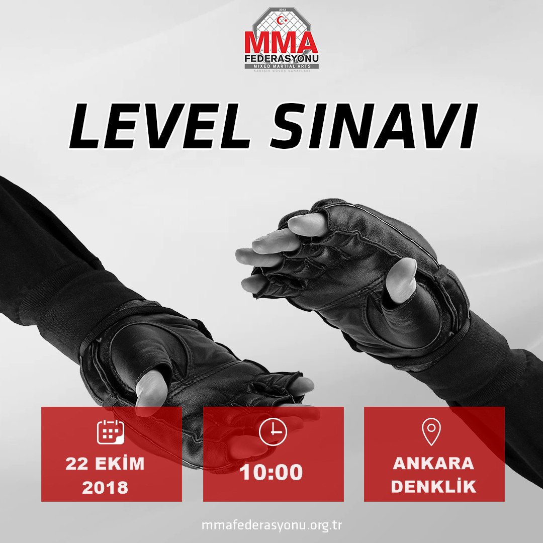 MMA LEVEL SINAVI ANKARA DENKLİK 