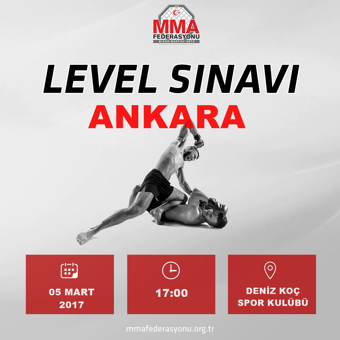 MMA LEVEL SINAVI ANKARA