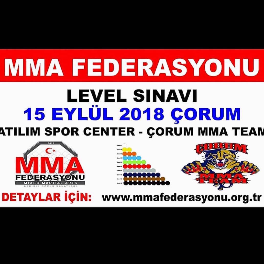 MMA LEVEL SINAVI ÇORUM