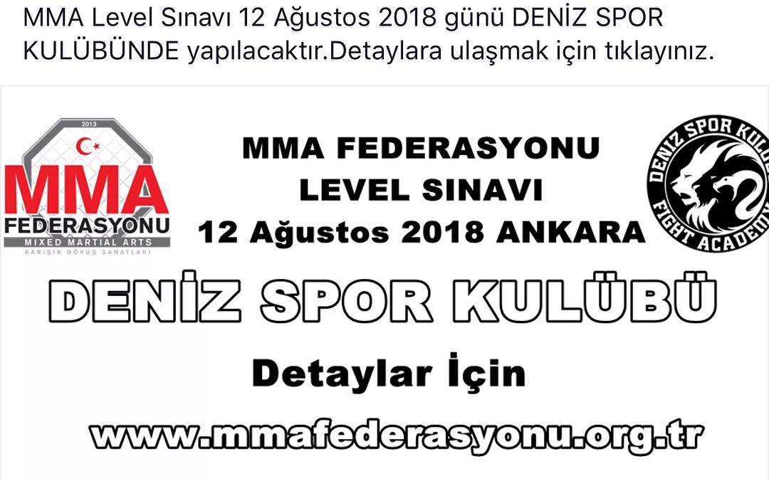 MMA LEVEL SINAVI ANKARA