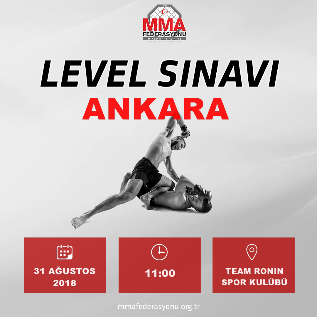 MMA LEVEL SINAVI ANKARA