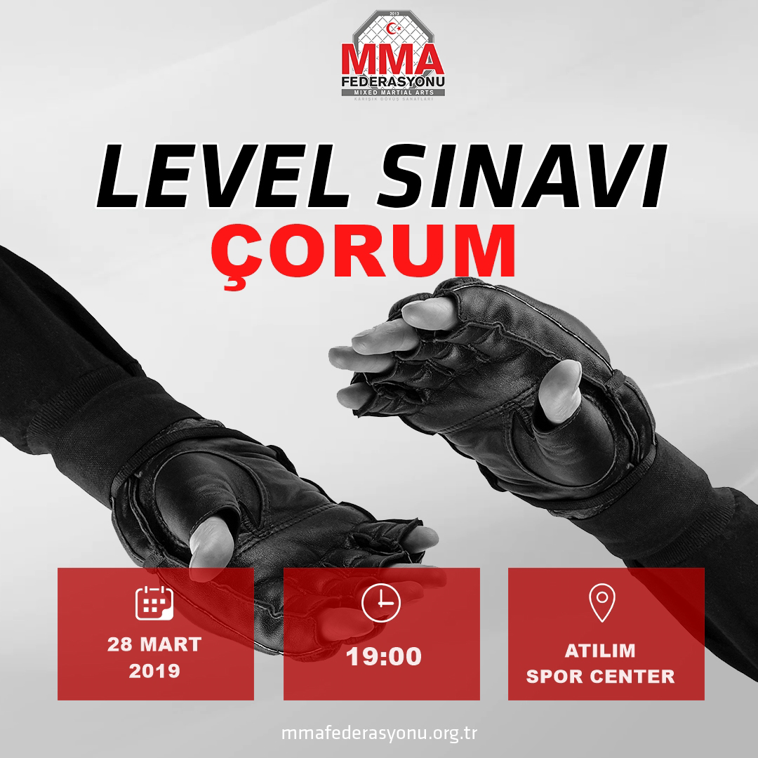 MMA LEVEL SINAVI ÇORUM