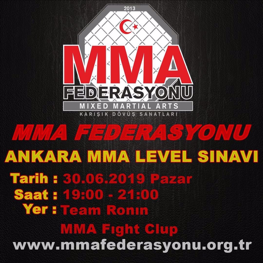 MMA LEVEL SINAVI ANKARA