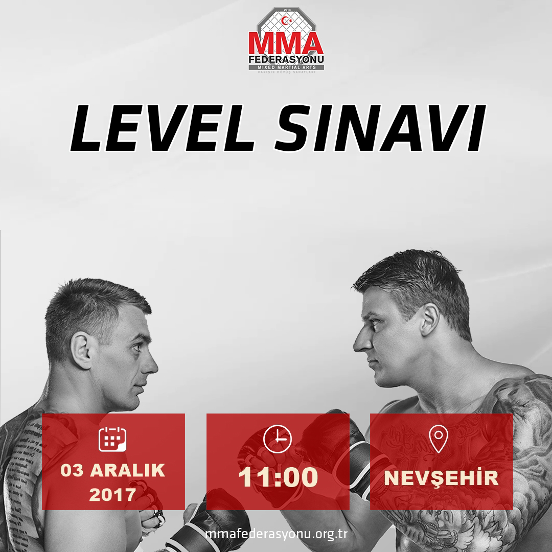 MMA LEVEL SINAVI NEVŞEHİR