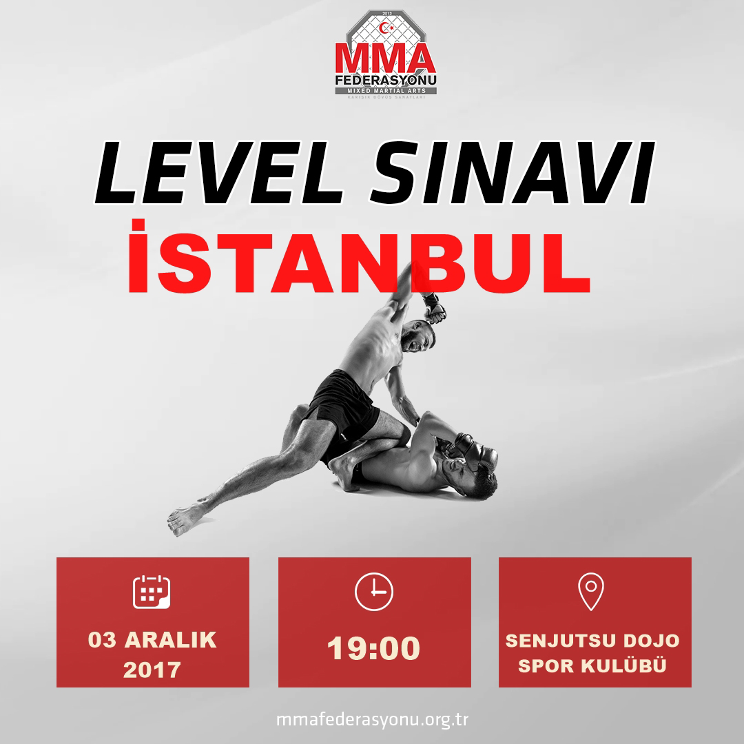 MMA LEVEL SINAVI İSTANBUL