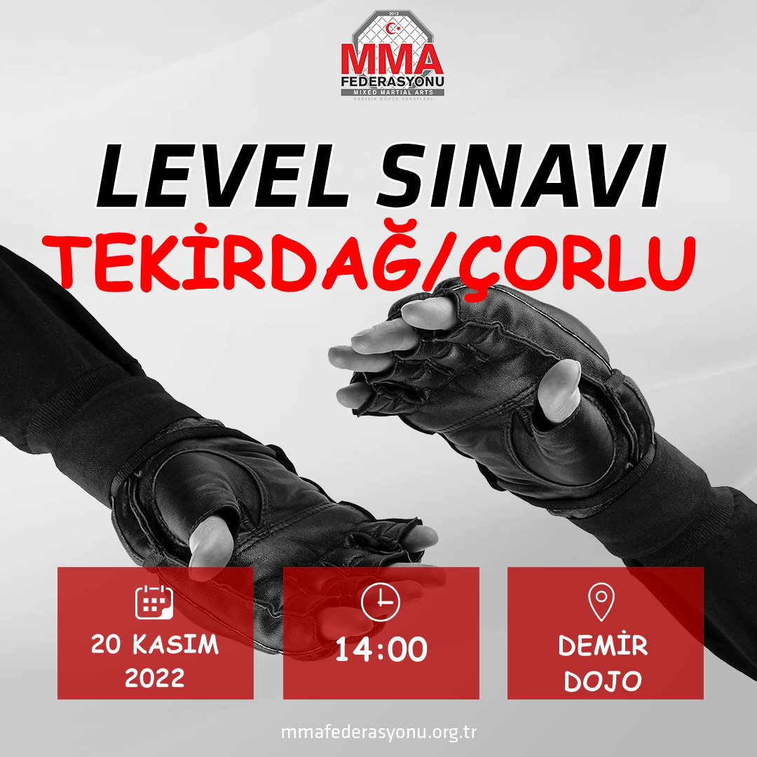 MMA LEVEL SINAVI DEMİR DOJO TEKİRDAĞ/ÇORLU