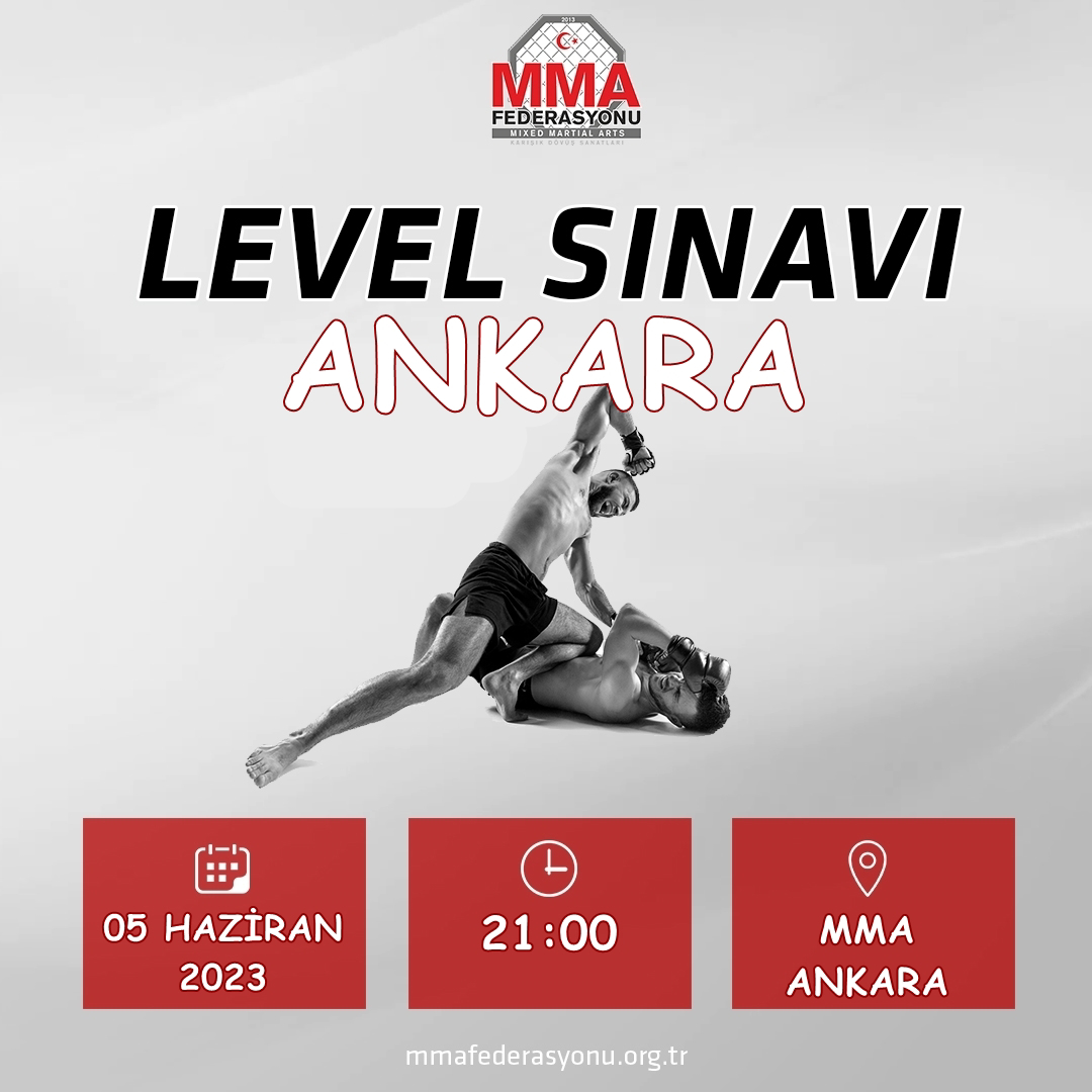MMA LEVEL SINAVI MMA ANKARA - ANKARA