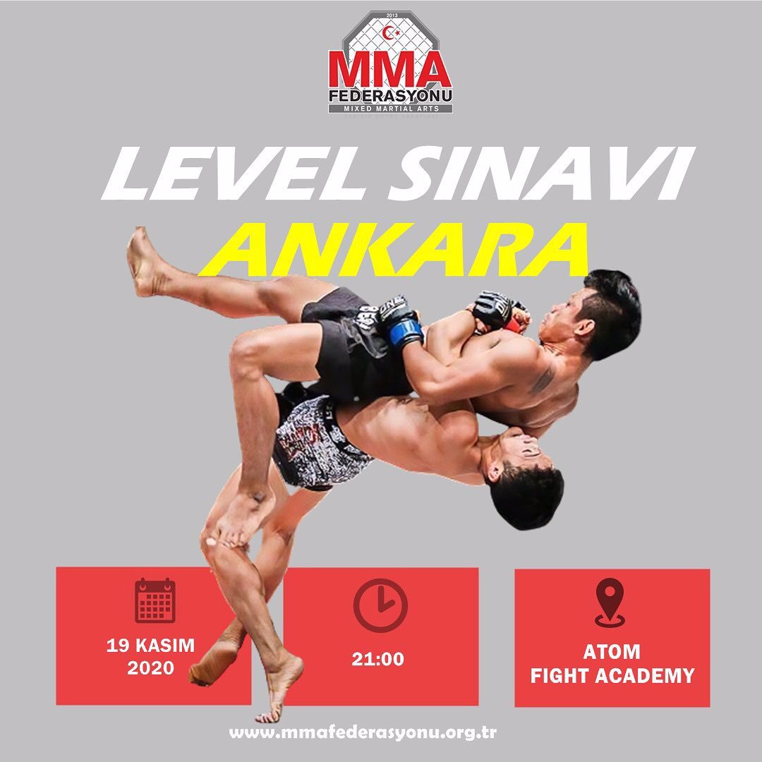 MMA LEVEL SINAVI ANKARA