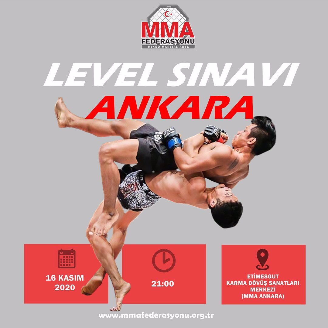 MMA LEVEL SINAVI ANKARA