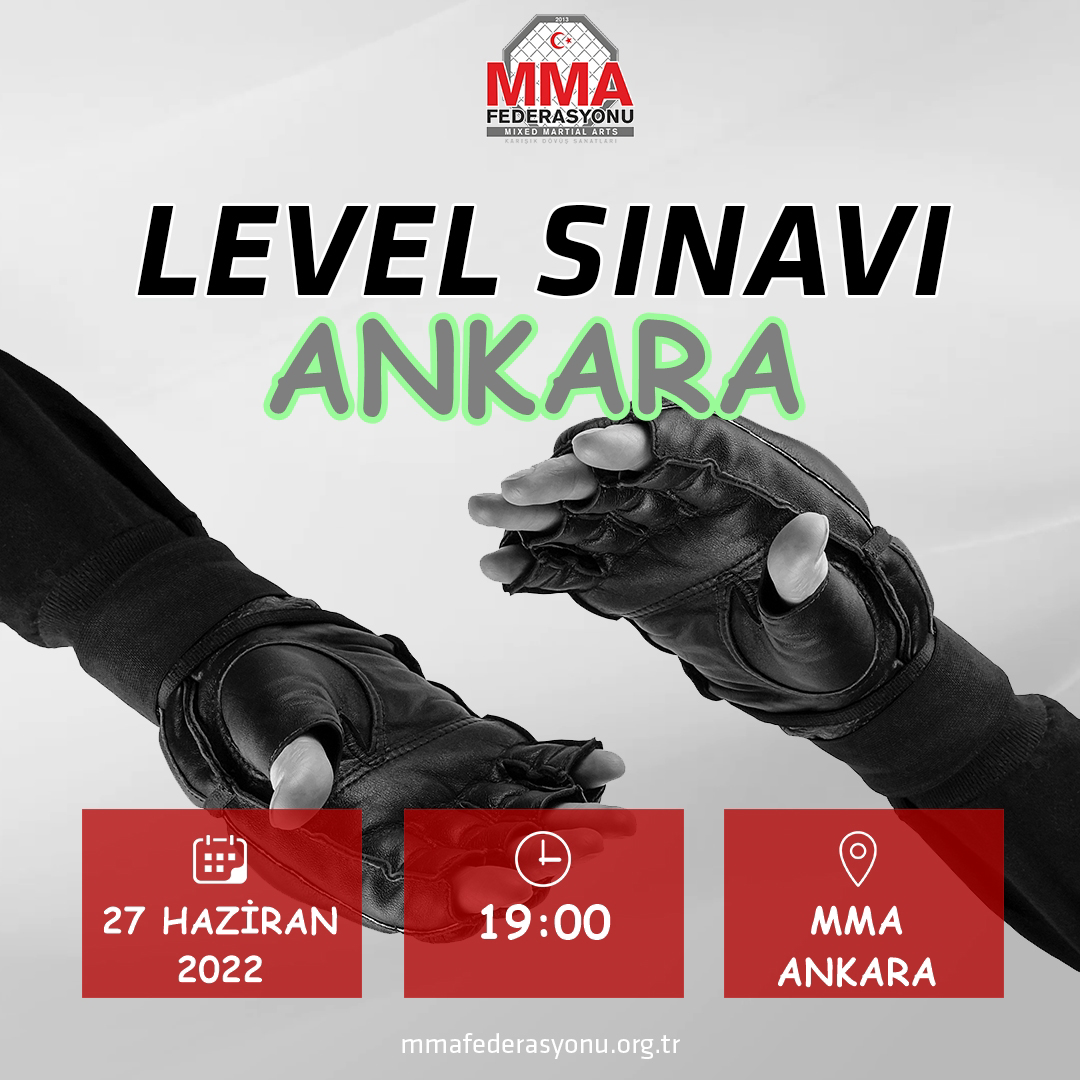 MMA LEVEL SINAVI MMA ANKARA - ANKARA
