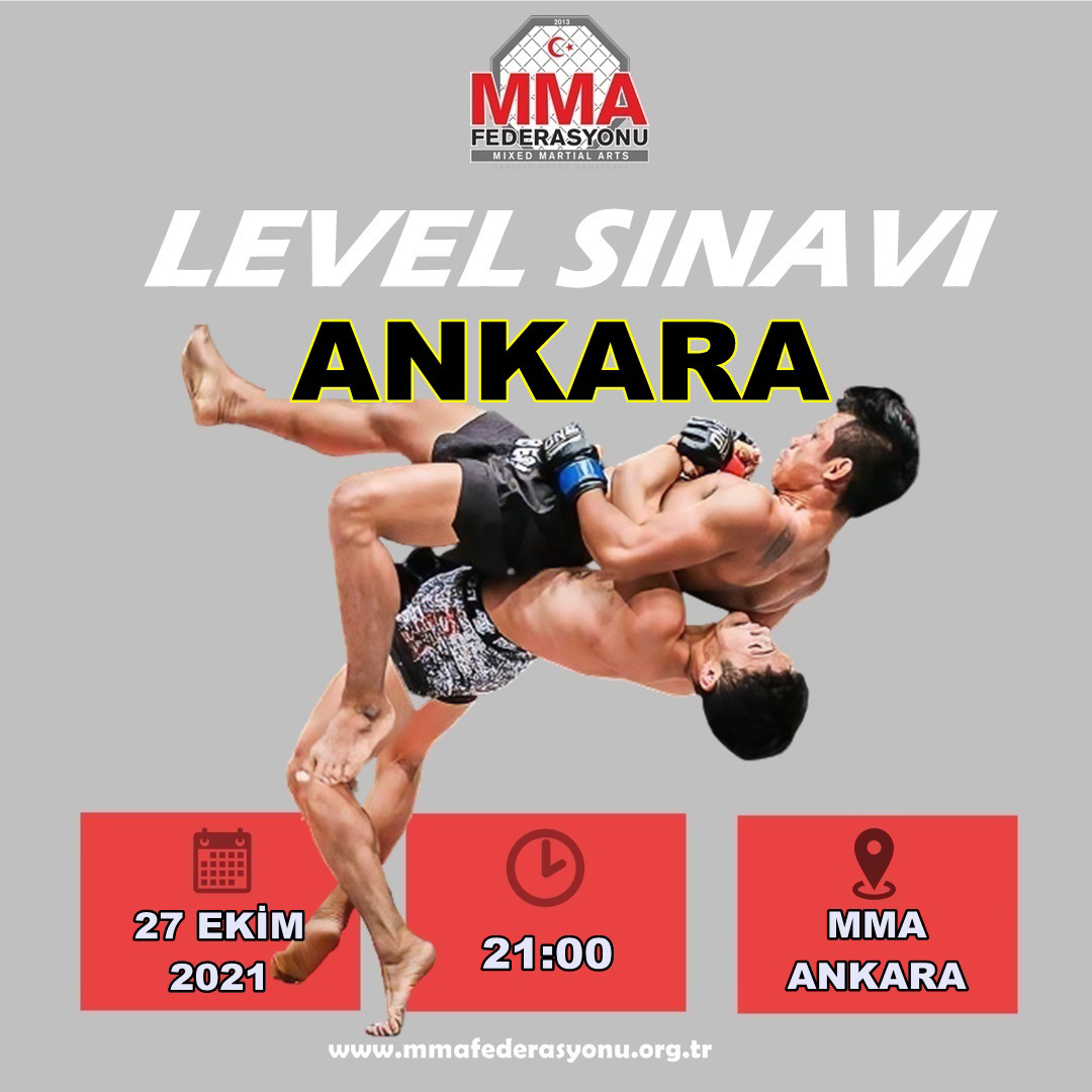 MMA LEVEL SINAVI MMA ANKARA - ANKARA