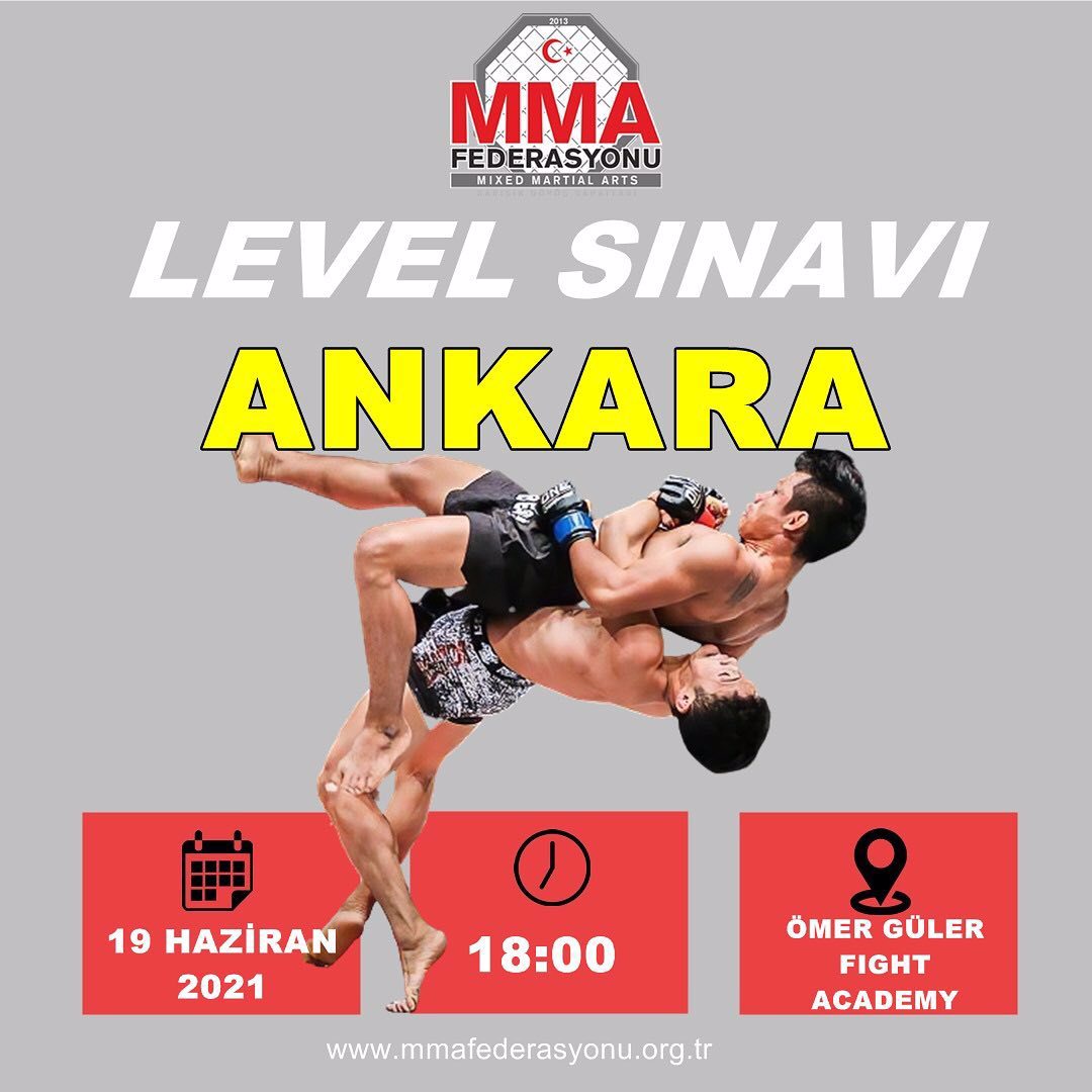 MMA LEVEL SINAVI ANKARA
