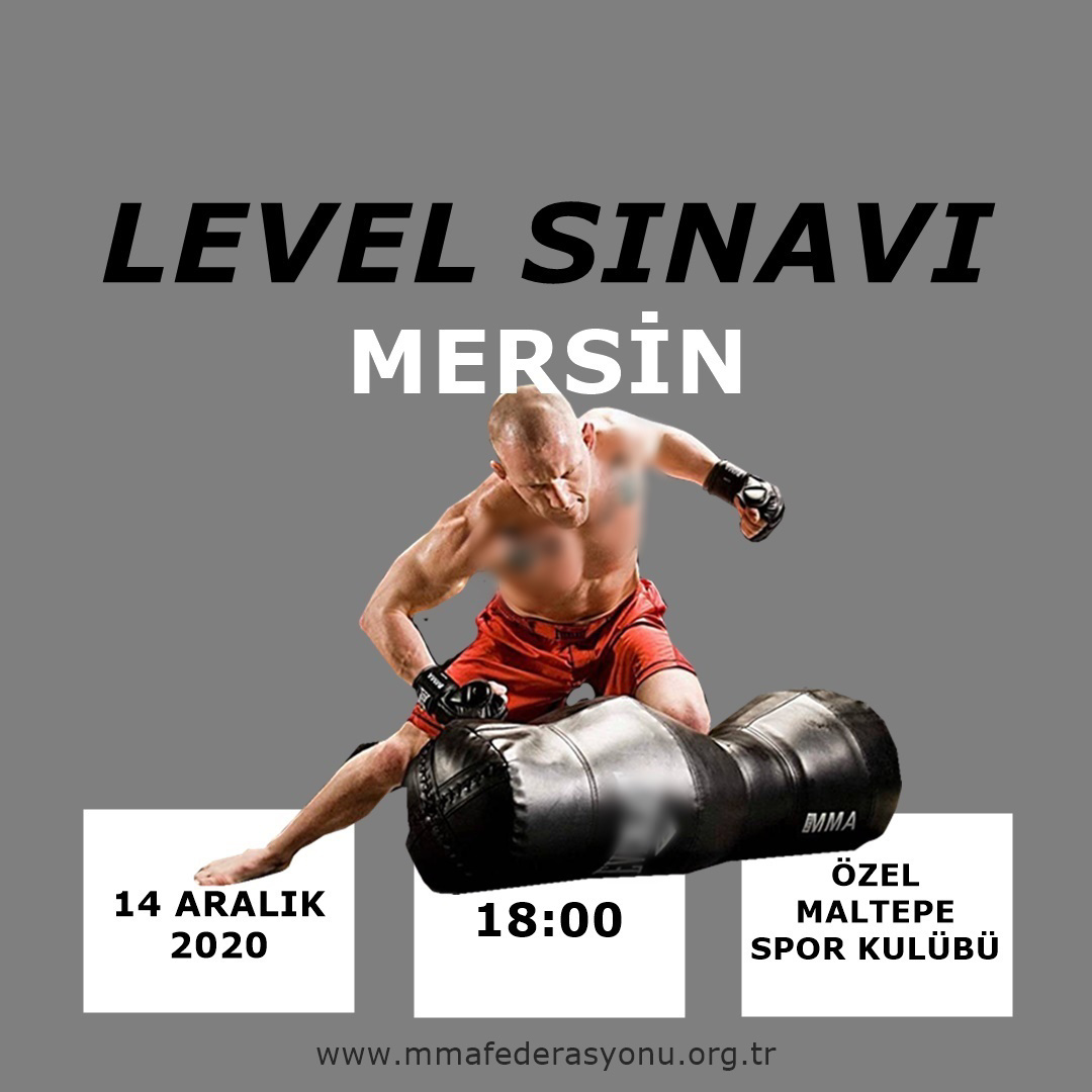 MMA LEVEL SINAVI
