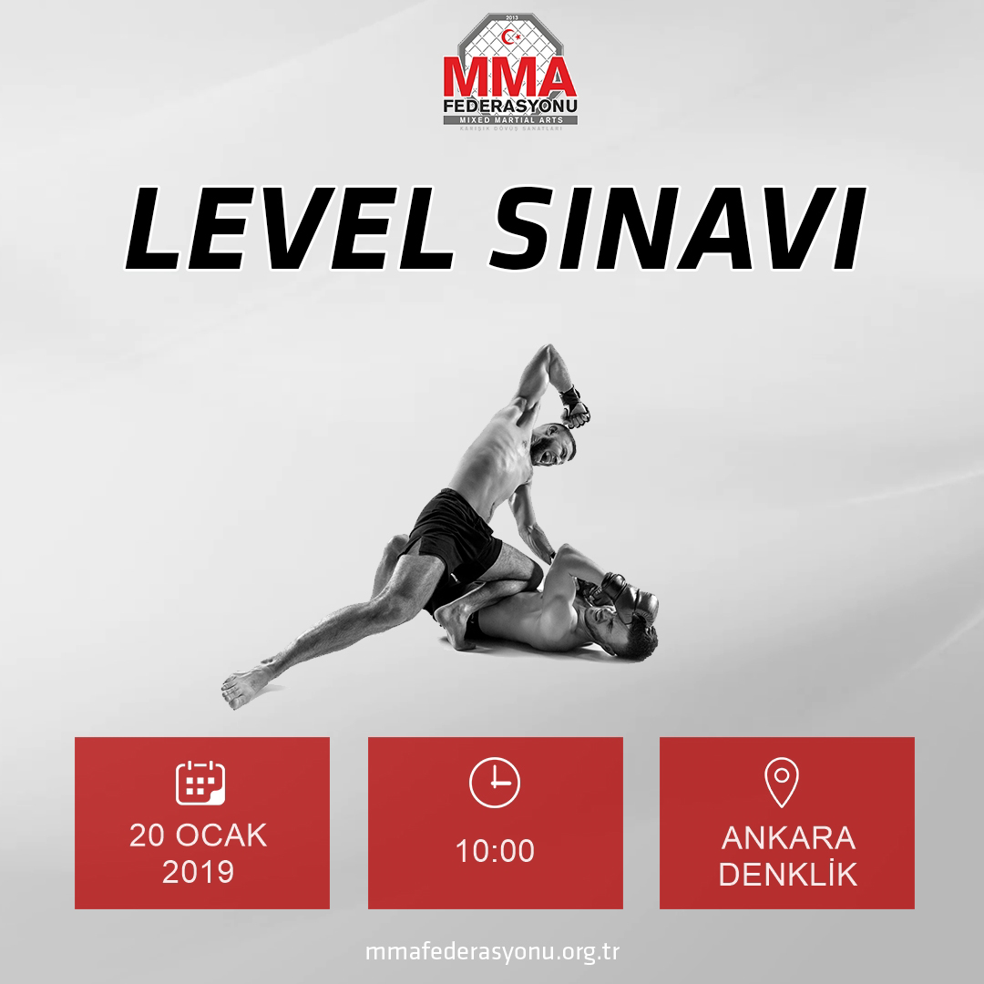 MMA LEVEL SINAVI ANKARA DENKLİK 