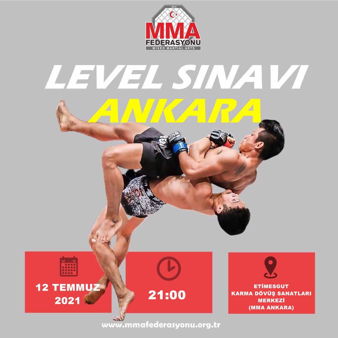 MMA LEVEL SINAVI ANKARA